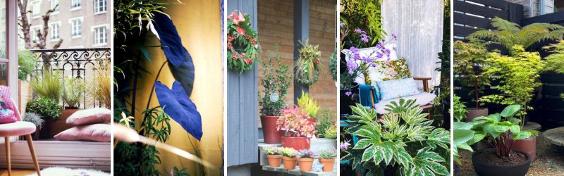 Aménager une terrasse, un balcon au soleil le soir 4 - Roué Pépinières 11-1