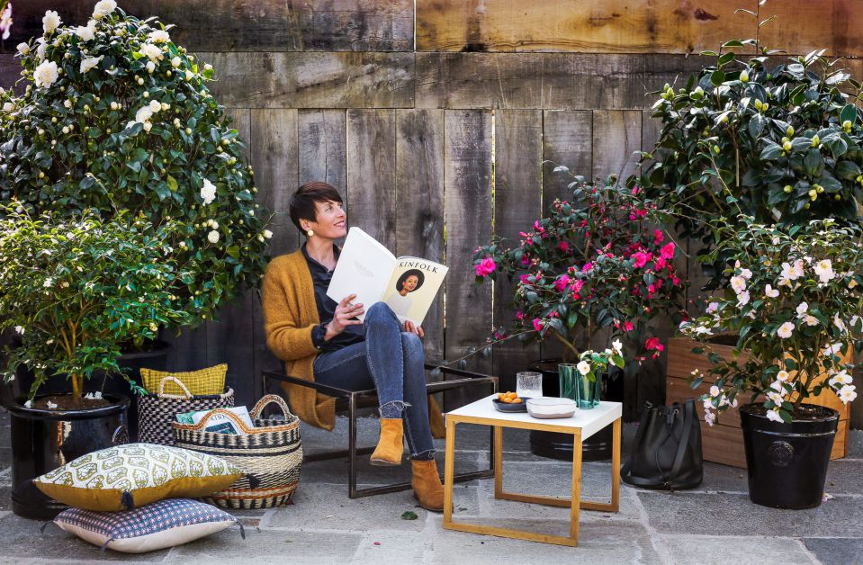 Blog-Roue-ambiance-hiver-Camelias-terrasse-Caroline-scaled