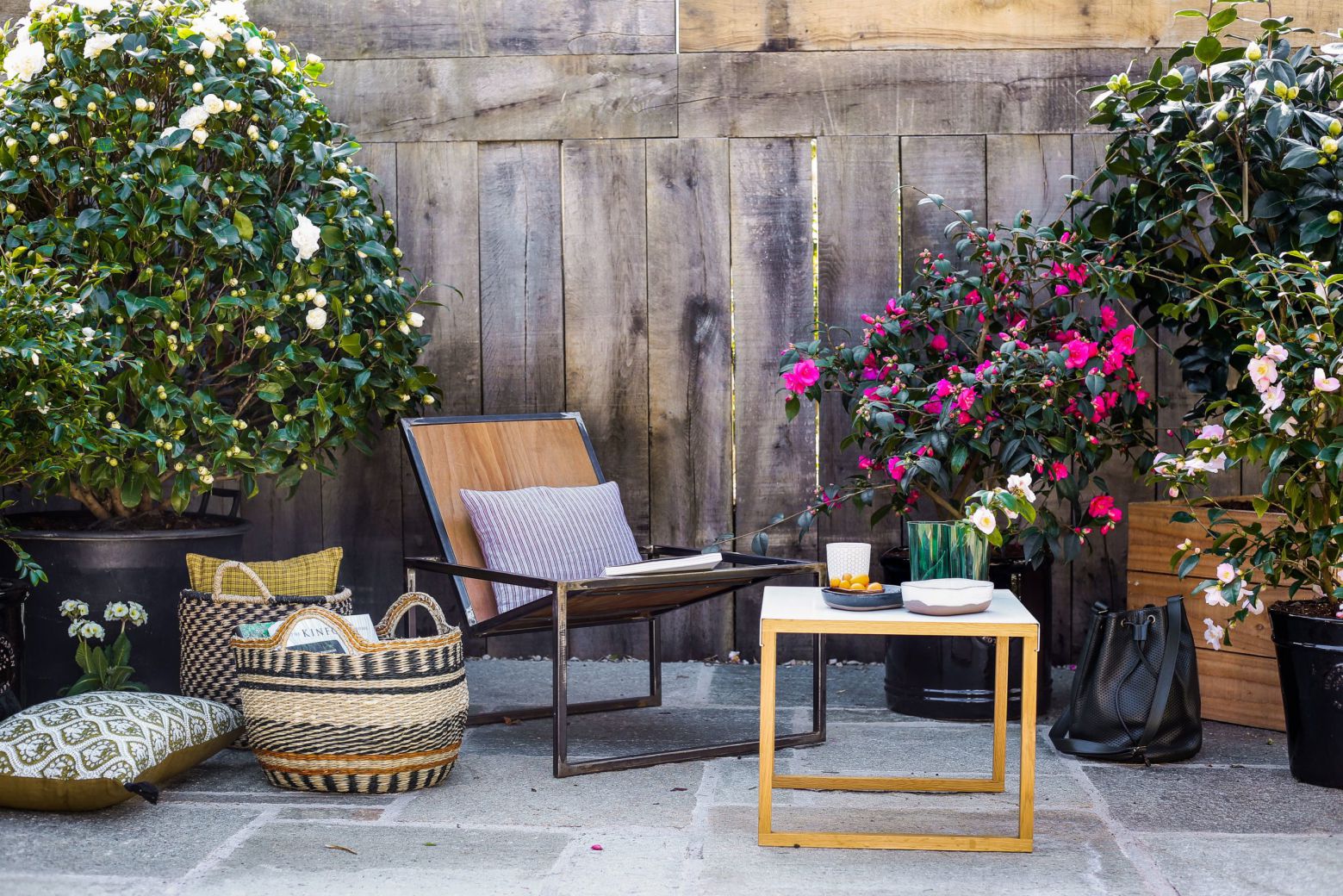 Blog-Roue-ambiance-hiver-Camelias-terrasse-scaled-1