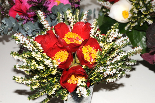 Bouquet-Camélia-Bruyère-DSC_8200