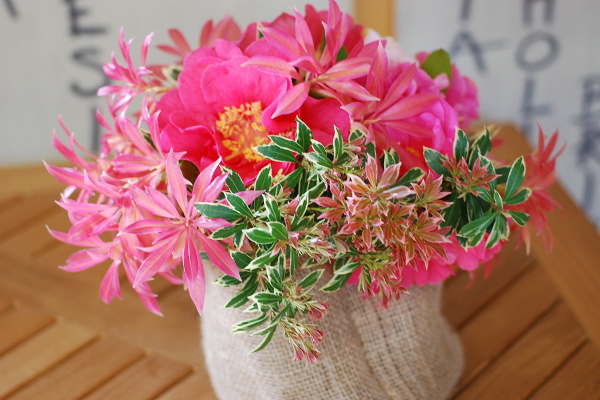 Bouquet-Camélia-et-Pieris-DSC_0096