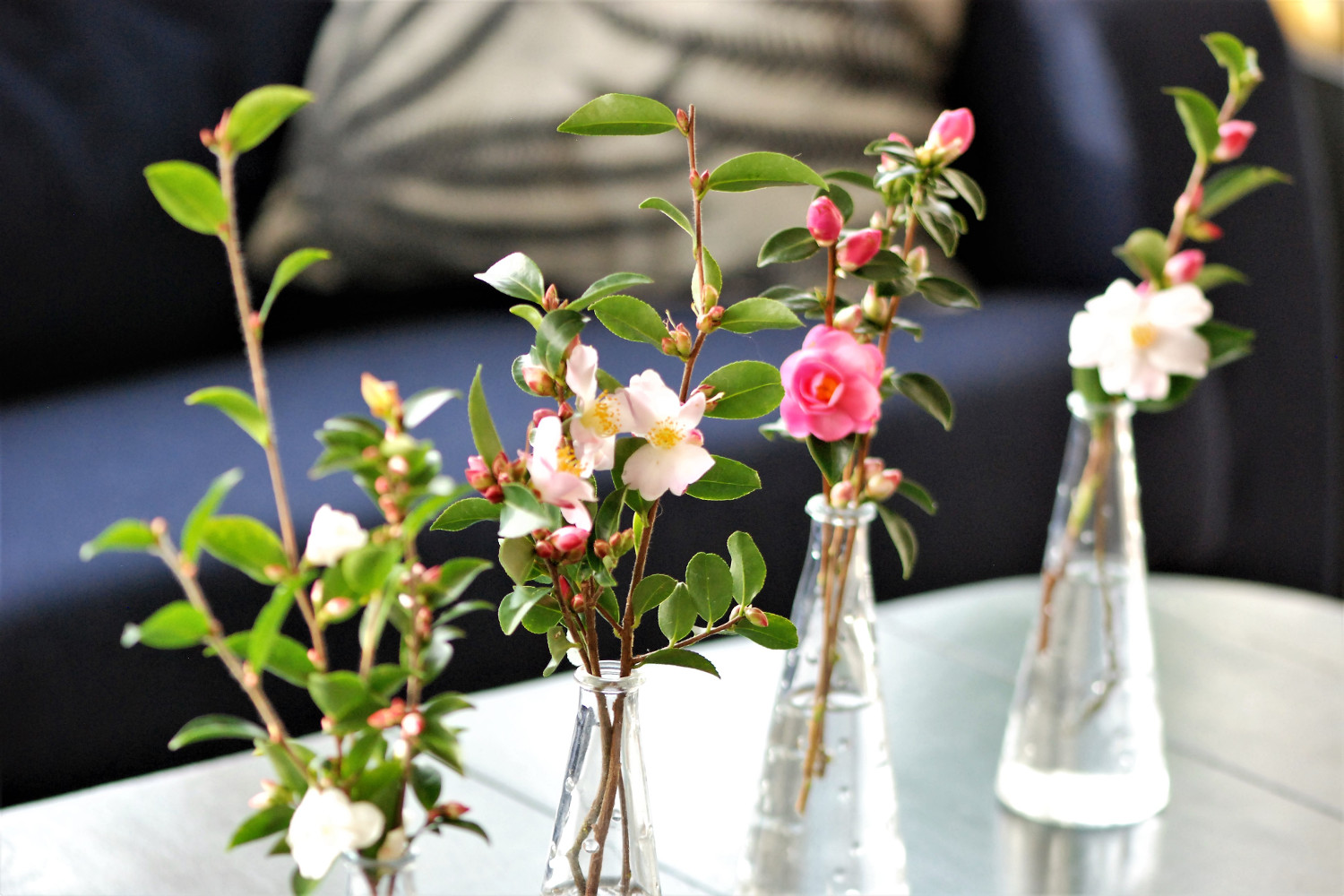 Bouquet-de-Camélias-DSC_1772