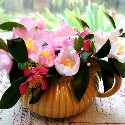 Bouquets-de-camélia