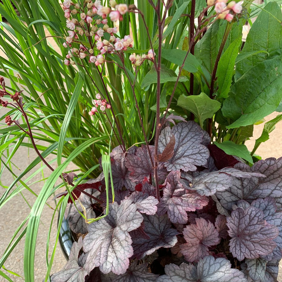 IMFG-Heuchere-Shangai