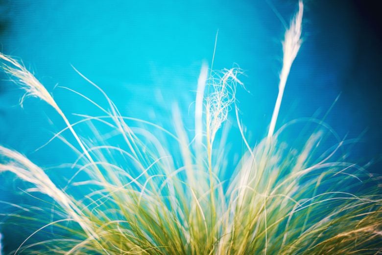 IMFG-anticiper-la-chaleur-et-la-secheresse