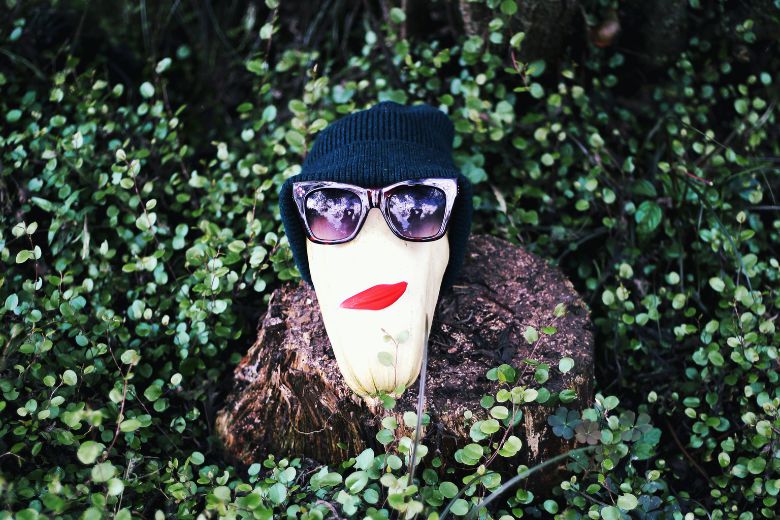 Que faire au jardin en octobre ? 3 - Roué Pépinières IMFG-blog-ne-pas-se-prendre-au-serieux