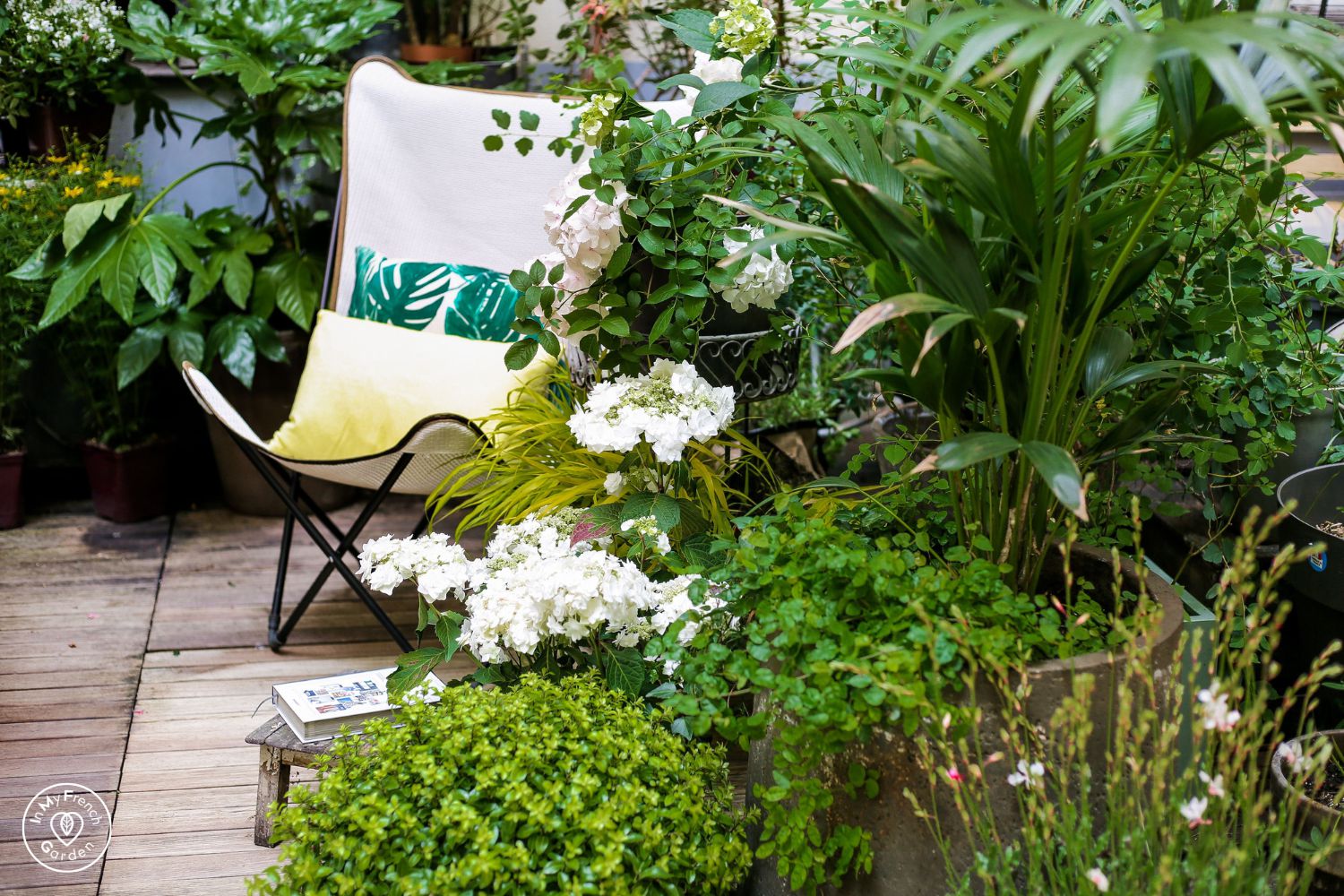 IMFG-que-faire-au-jardin-en-juin