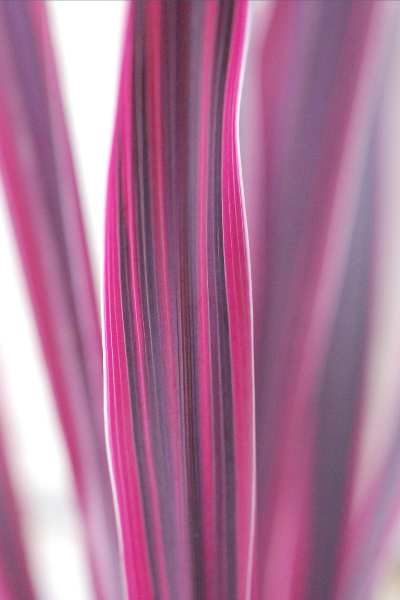 Image-format-400-x-600-27