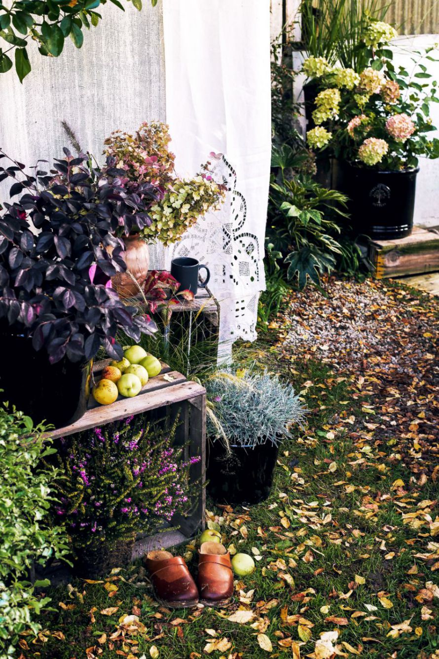 Inspiration-Botanic-Romance-47-2