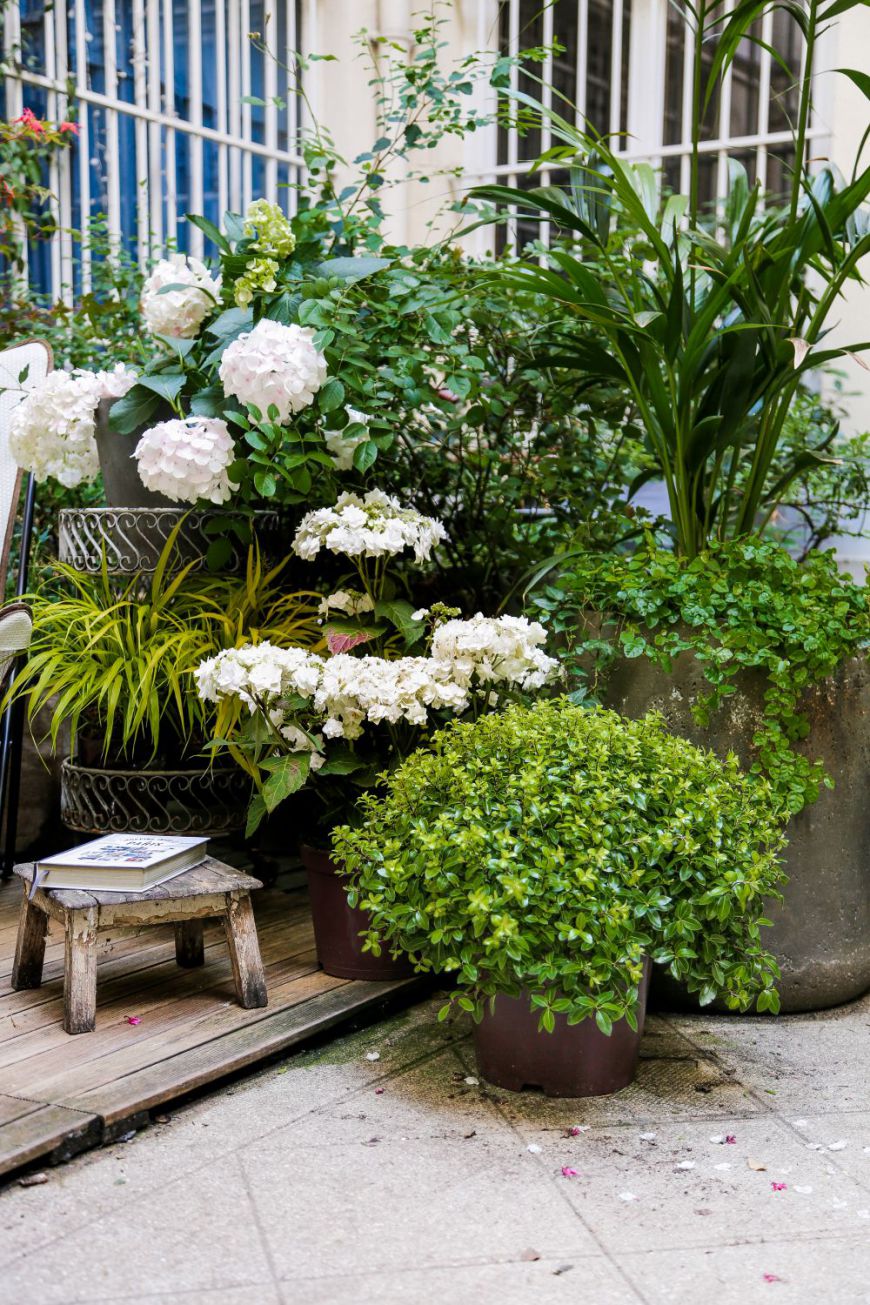 Inspiration-Love-is-green-juin-Paris-35