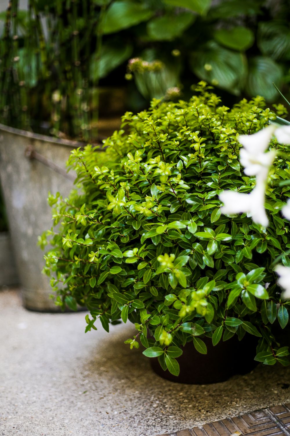 Inspiration-Love-is-green-juin-Paris-43