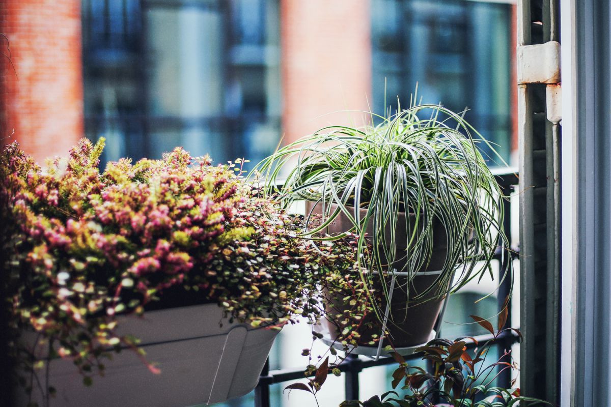 Inspiration-Paris-Brooklyn-8