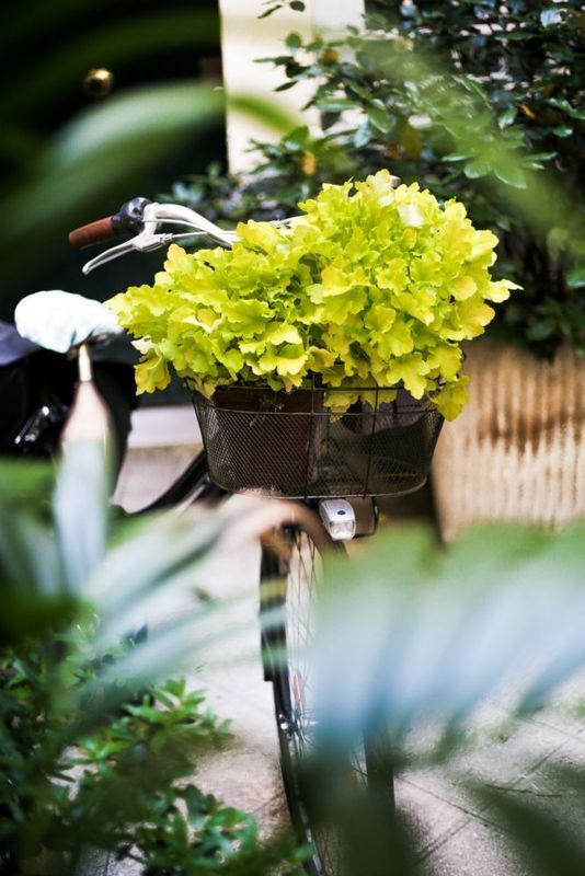 Inspiration-Upcycling-Philosophy-161-HEUCHERE-Lime-Marmalade