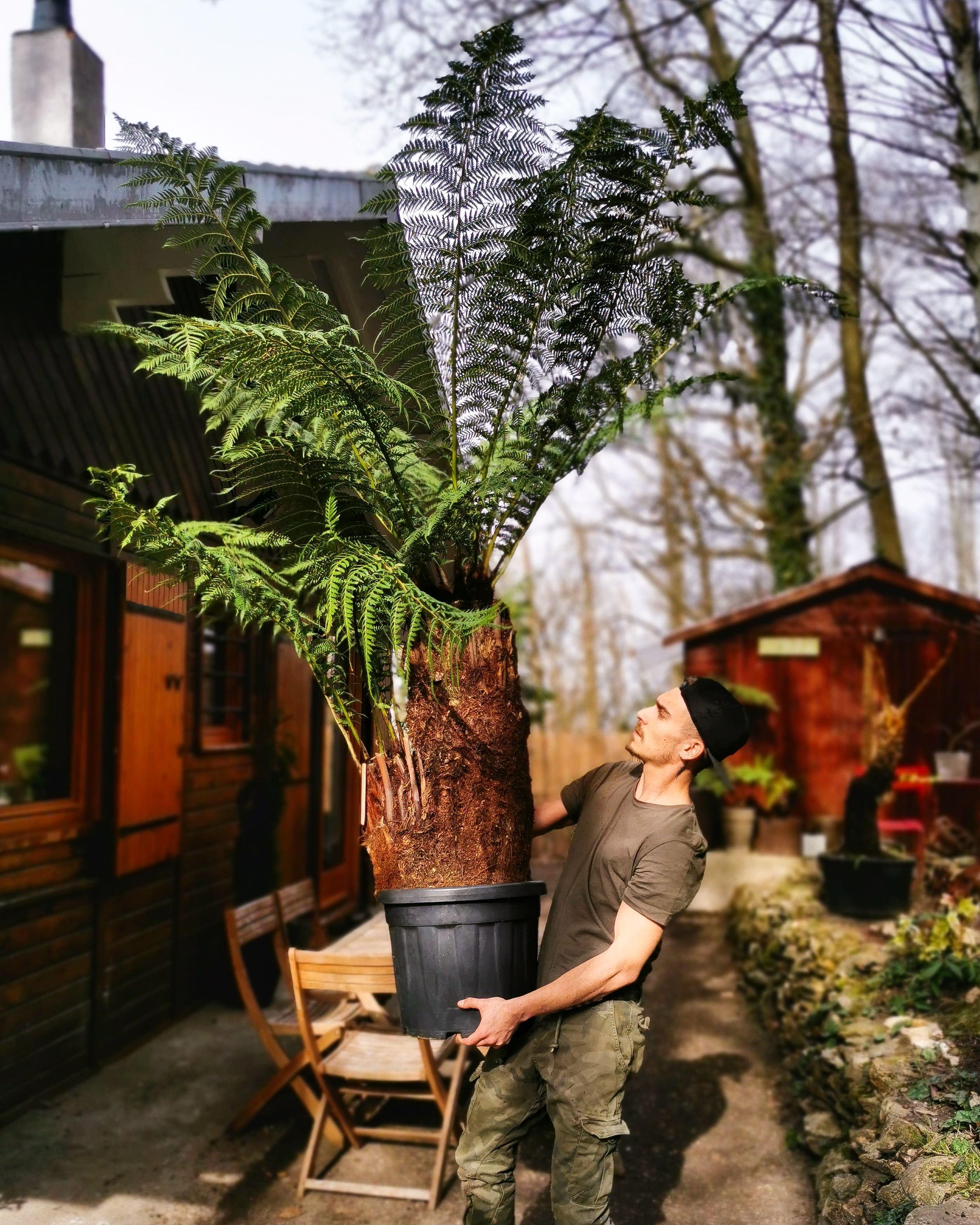 PSX_20210225_140659-1-1