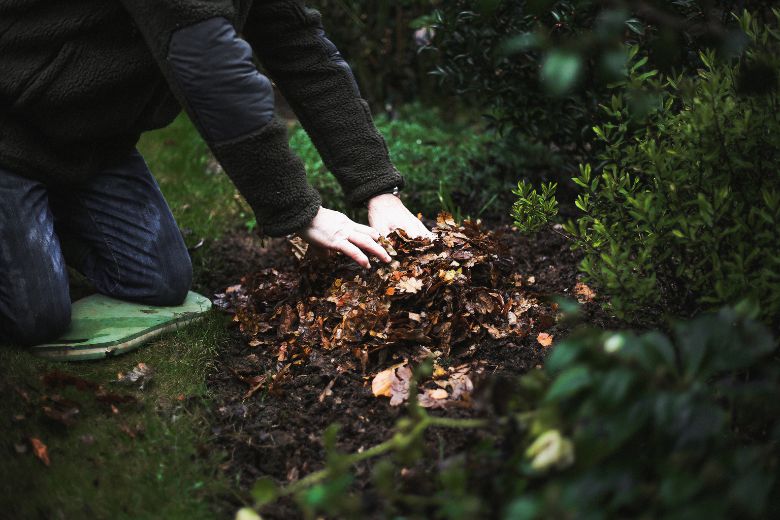 Roue_Pepinieres_conseil_paillage