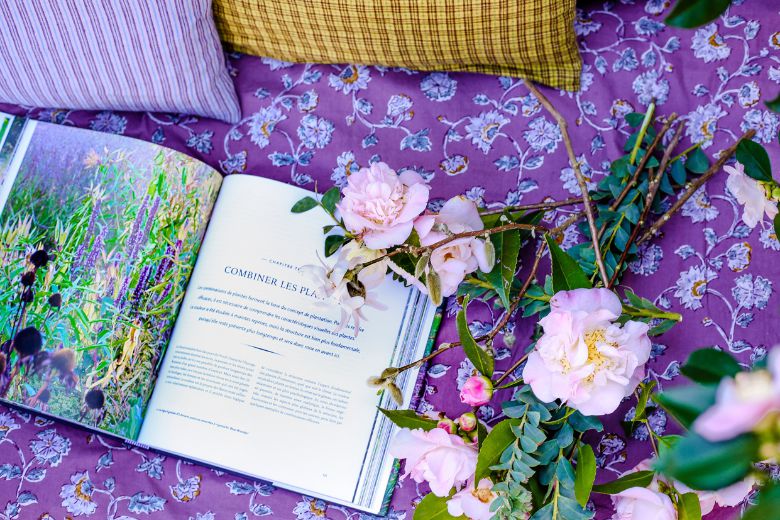 Roue_pepiniere_collection_de_plantes_camelias