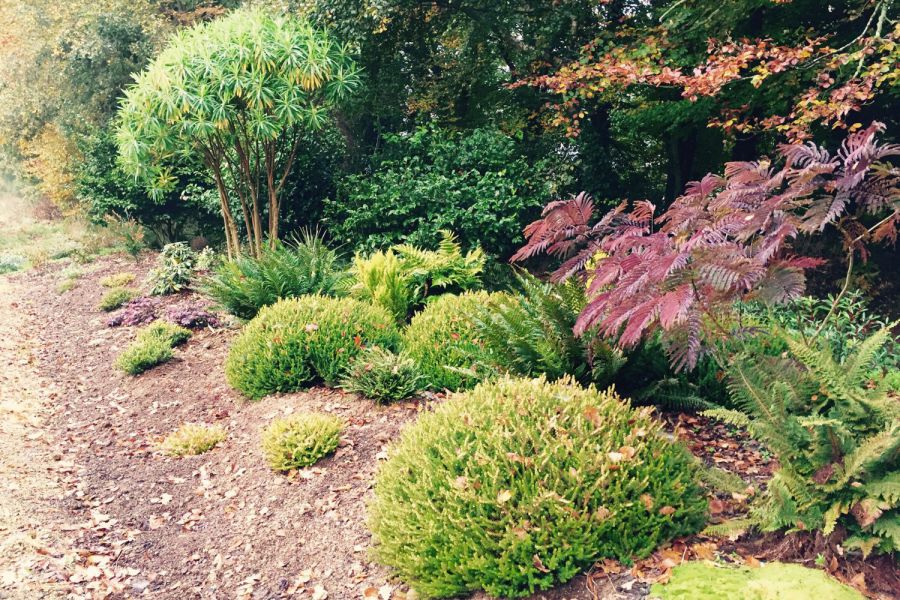 Que faire au jardin en octobre ? 4 - Roué Pépinières Shop-Slide-2