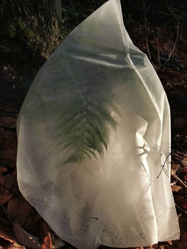 Voile-hivernage-1