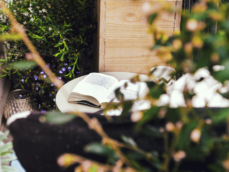 balcon au soleil (4)