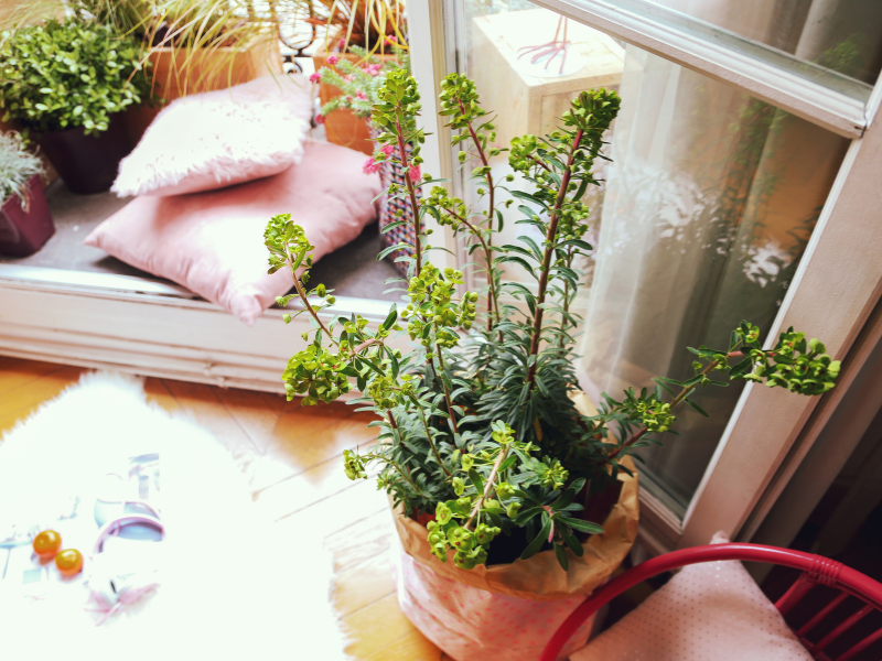 balcon ensoleille1 (2)