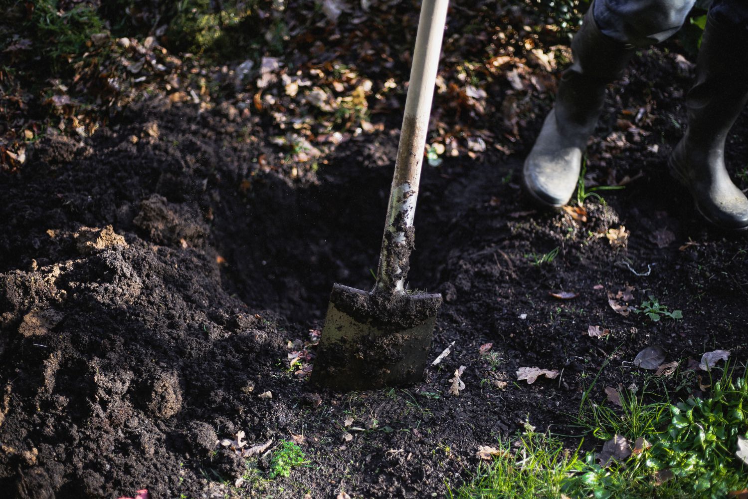 Que faire au jardin en octobre ? 2 - Roué Pépinières entretien-jardin-plantation-