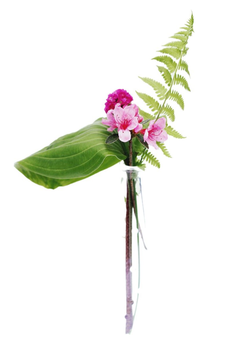 fougère-et-fleur-dazalée-en-vase-1