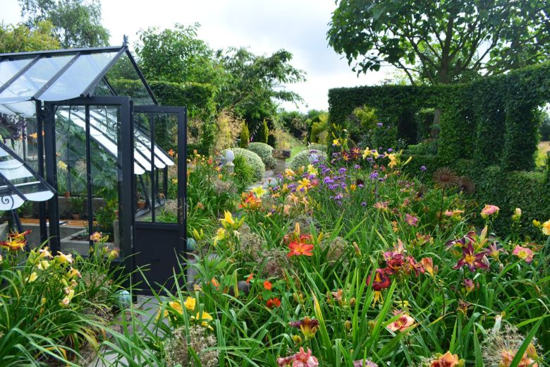 hemerocalles_roue_pepinieres-3