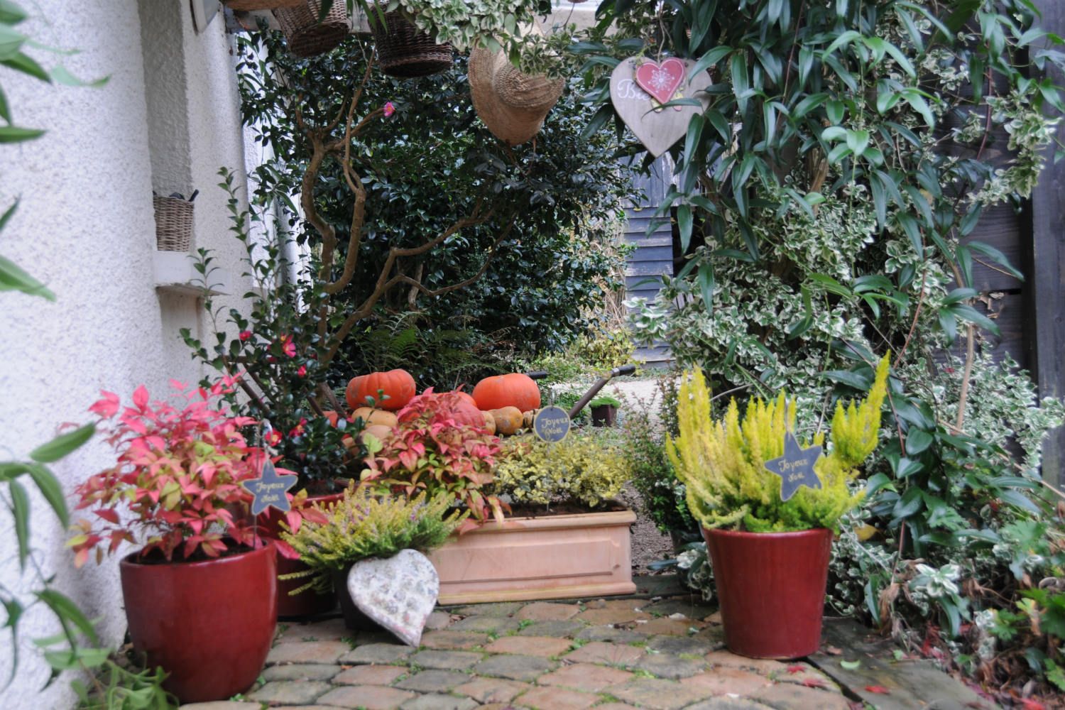 idées-jardin-noel-or-DSC_6590