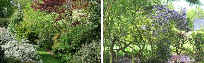 Portrait de Marie Té et Jean-Yves Roué, voyage au cœur des plantes… 7 - Roué Pépinières jardin JY et MARIET
