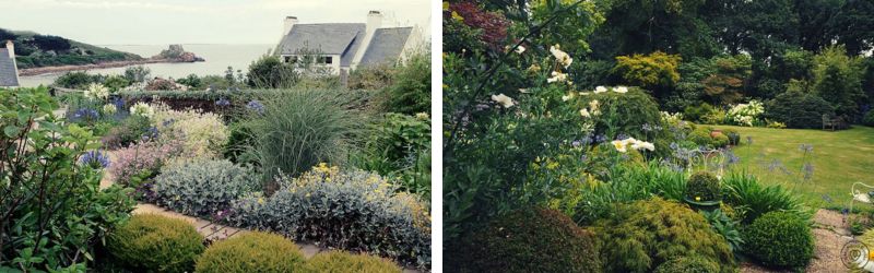 jardin en aout (1)