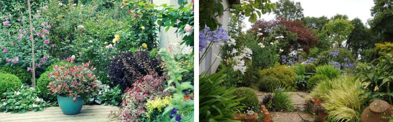 jardin en aout (2)