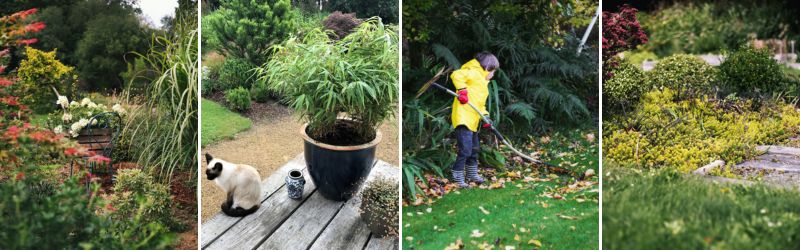 jardin thomas bretagne