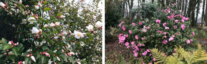 montage pour article blog (40)