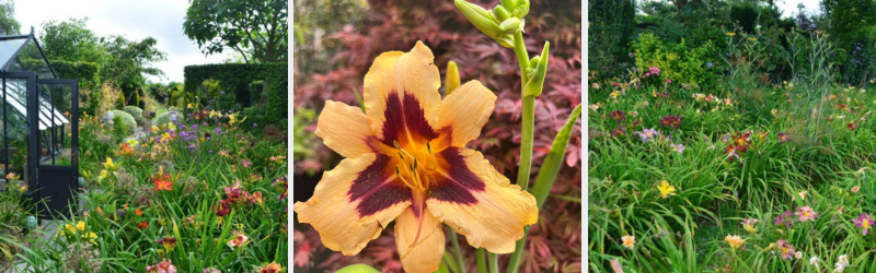 montage pour article blog (5)