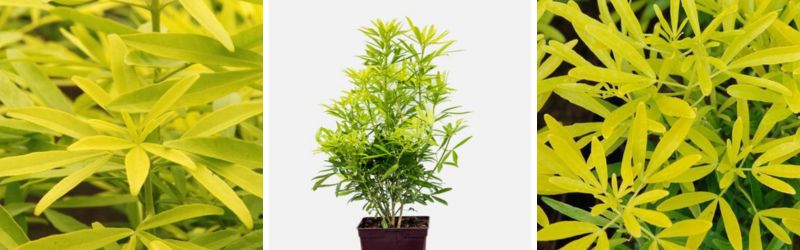 nouveautés automne (1)