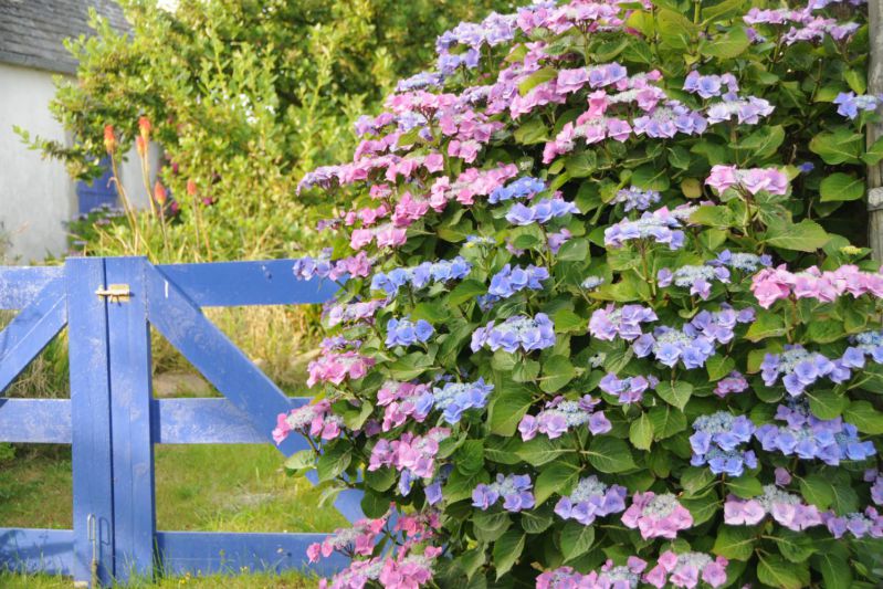 ou-quand-planter