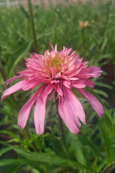 photo-pour-newsletter-23