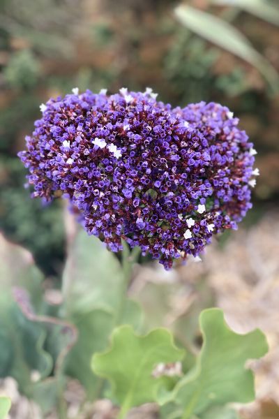 photo-pour-newsletter-25