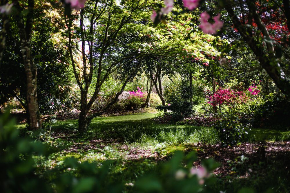 printemps-imfg-19-51