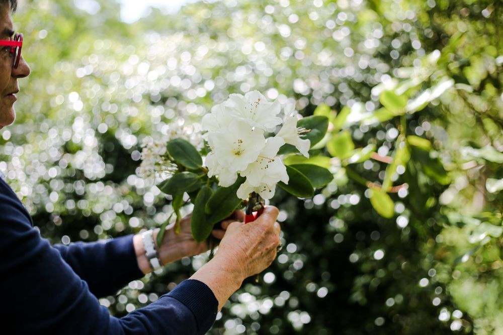 printemps-imfg-19-93