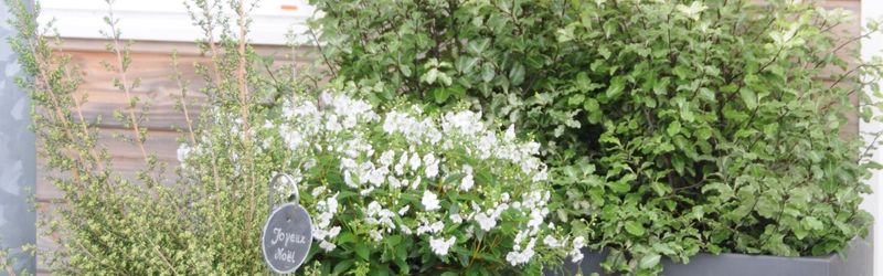 proteger son jardin en hiver (2)
