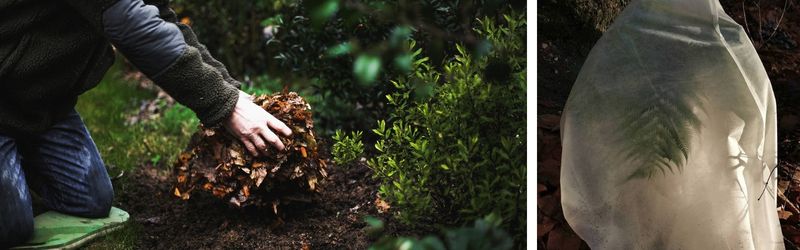 proteger son jardin en hiver (3)