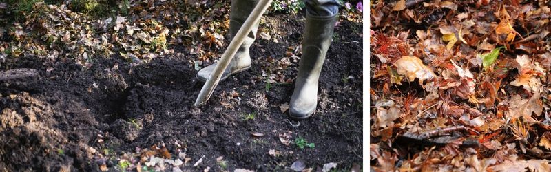 proteger son jardin en hiver (6)