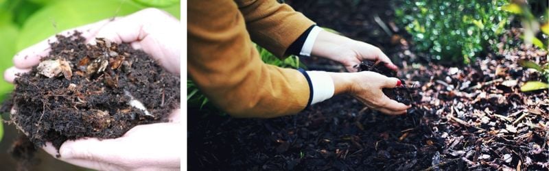 proteger son jardin en hiver (7)