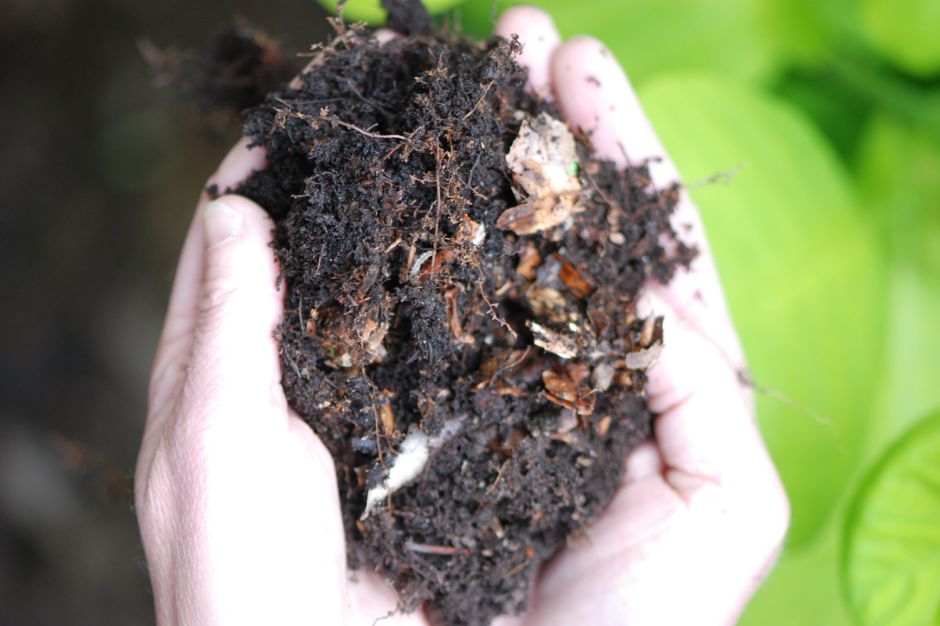 quelle-est-la-nature-de-mon-sol