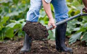 sols-humide-frais-drainant